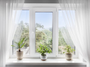 Windows