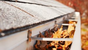 Unprotected gutters full of leaves